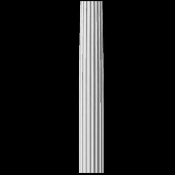 Columna029