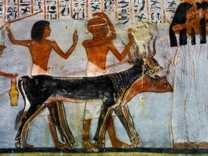 Fresco0007