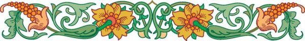 ORNI0069