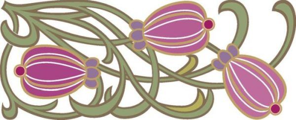 ORNI0162