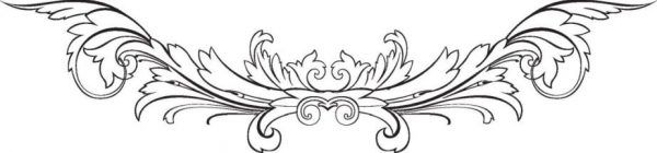ORNI0223