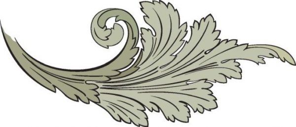 ORNI0224