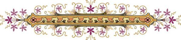 ORNI0293