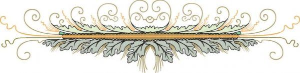 ORNI0298