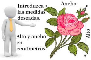 indicador ornamentos impresos