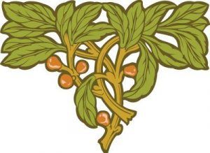 Silueta ornamental126