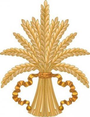 Silueta ornamental130