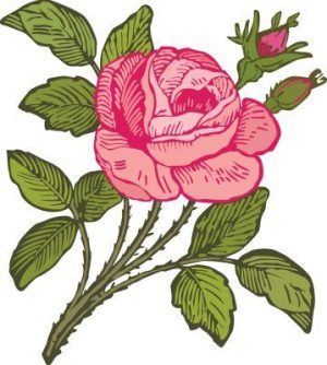 Silueta ornamental133