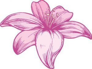 Silueta ornamental143