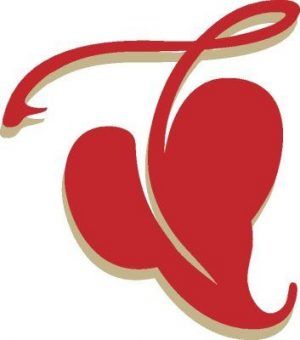 Silueta ornamental391