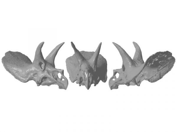 Escultura