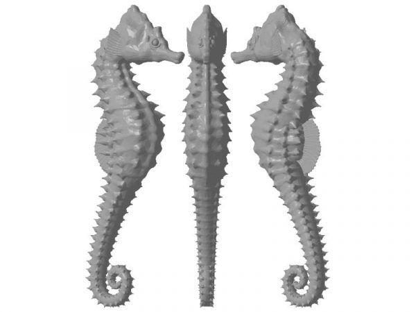 Escultura